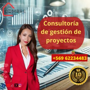 Consultoría en gestión de proyectos orientada a resultados con planificación estratégica, liderazgo efectivo y enfoque en eficiencia empresarial